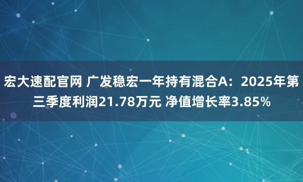 宏大速配官网 广发稳宏一年持有混合A：2025年第三季度利润21.78万元 净值增长率3.85%