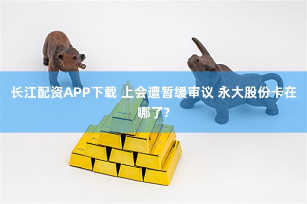 长江配资APP下载 上会遭暂缓审议 永大股份卡在哪了?