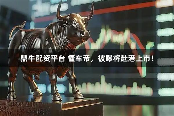 鼎牛配资平台 懂车帝，被曝将赴港上市！