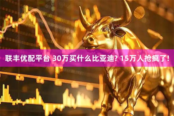 联丰优配平台 30万买什么比亚迪? 15万人抢疯了!